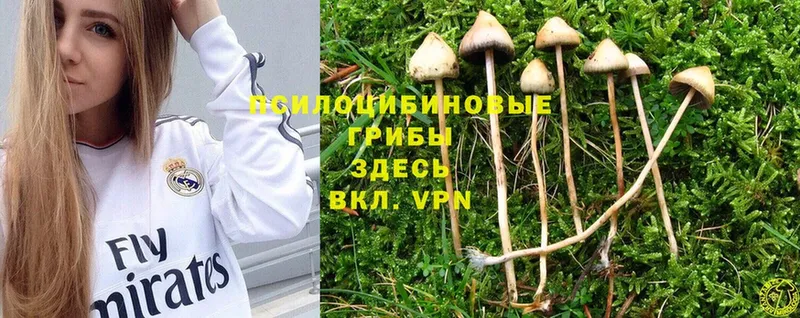 Галлюциногенные грибы мухоморы  Дюртюли 